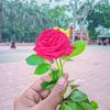md.nurislam.rana5