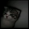 ferii_45