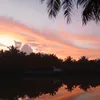 huynhdaolachy43