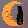 blackcat88882