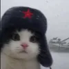 tquy74