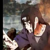 aetashe0