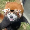 lameufchill2k25