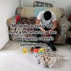 luis.alejandro.co37