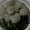 user51484752060071