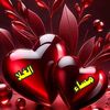 user6682786076179