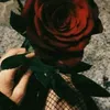 wardahamza021
