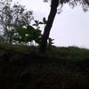 fernando.hernande404