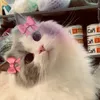 sky_angel12367