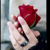 user77065819991724