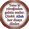 seyraniakkoyun.pimapenci
