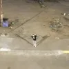 lpaoyd