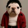 pablo.moncivaiz