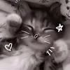 ..567503