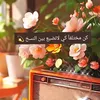 zain2525368745231