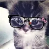 wtf_licy