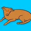gatocomendoarroz
