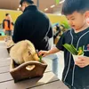 hathingocmai60