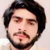 ziddi.log97