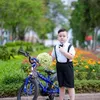 lieunguyen8194