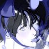 noctiumsins