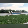 phongnguyen6766