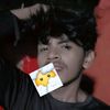 yanz.ind