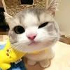 chhay.marasy