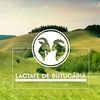 lactate.de.butucr