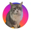 catlaw55