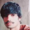 nikzad.bark23