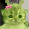 hhbao_an