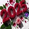 umme.hammad11