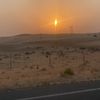 المنصوريه