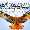 علي الشريف