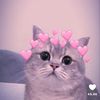 user9420190486161
