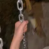 anmz171219258603