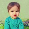 mjameel3471