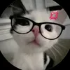 cchip_7