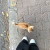 nourben0170