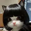 yujie557