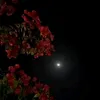 raneemhotmail.com2