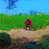 user3017324810339