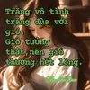 user1324123474672