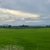 klnt181223