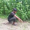 md.lokman.ali393