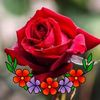 user3759319865686