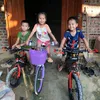 vn.s.ty.duyn365