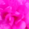 mahiraislam695