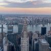 belleinnewyork